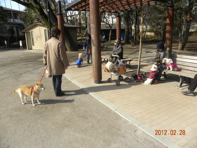b0203018_18422896.jpg