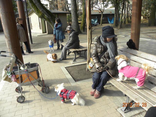 b0203018_18433869.jpg