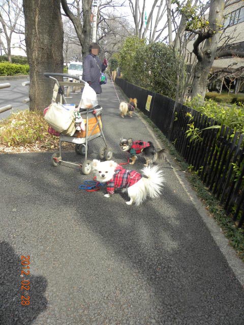 b0203018_18533595.jpg