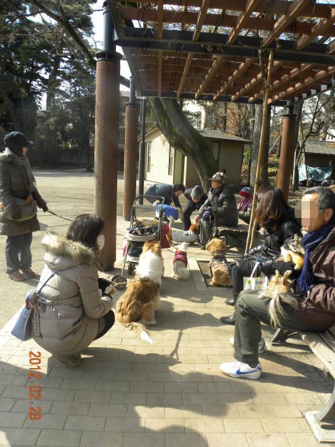 b0203018_1853986.jpg