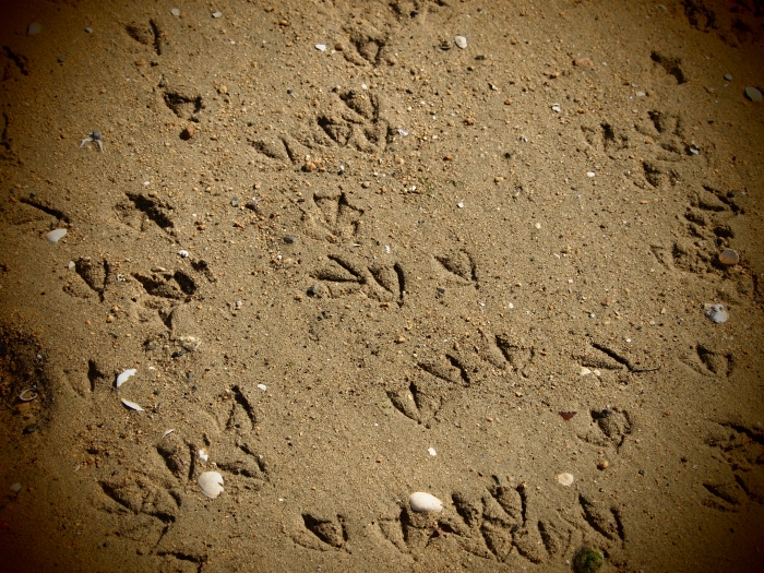 d0252924_12443399.jpg