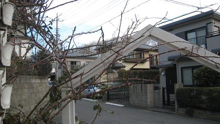 f0166824_2335295.jpg