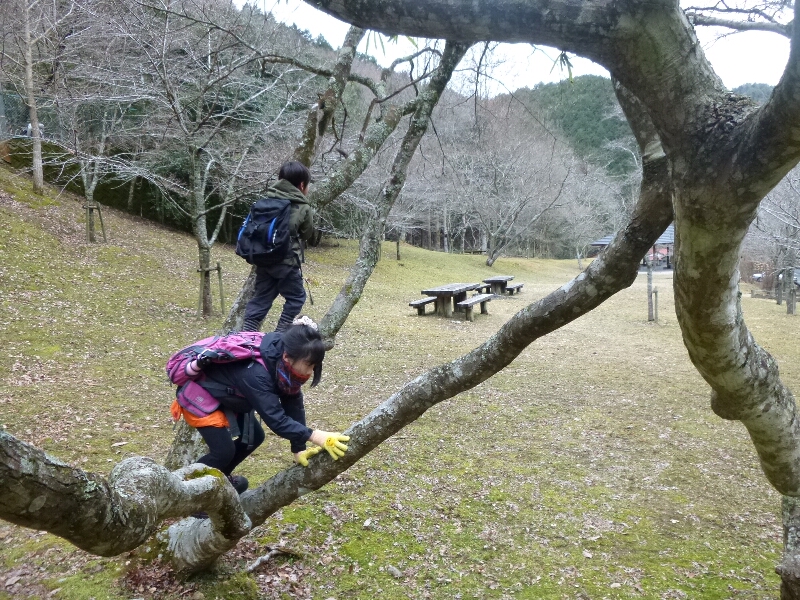 c0113733_063743.jpg