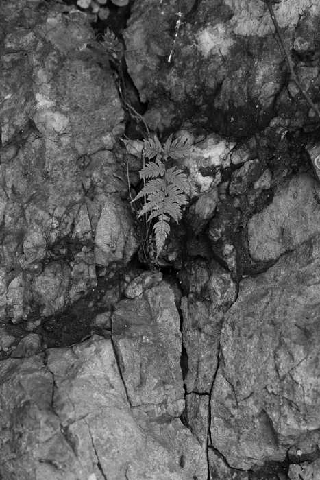 f0217347_23201382.jpg