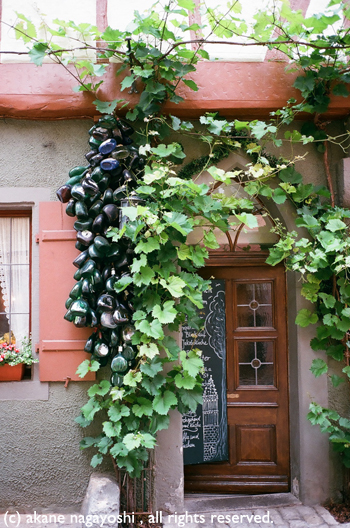 c0058654_20533439.jpg