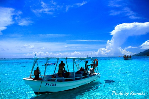 a0221169_848284.jpg