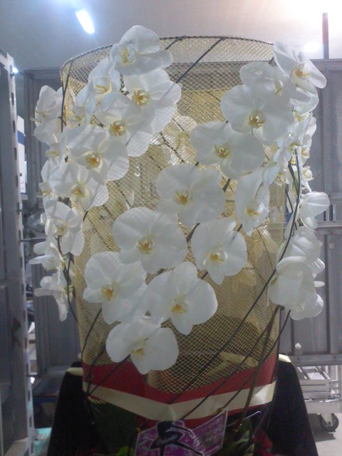 f0200477_1113542.jpg