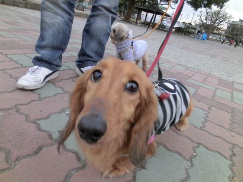 d0227686_141569.jpg