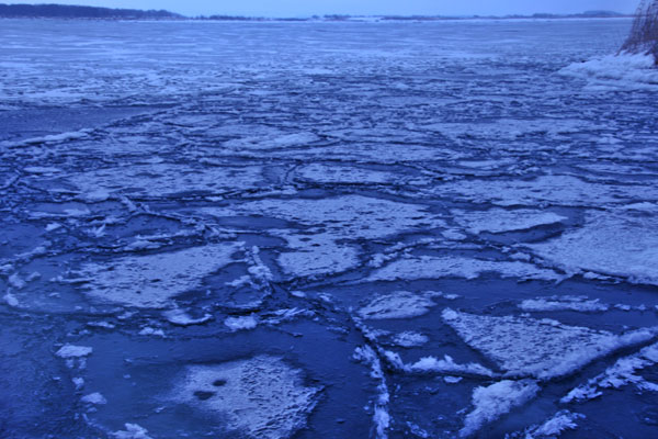f0212586_804192.jpg