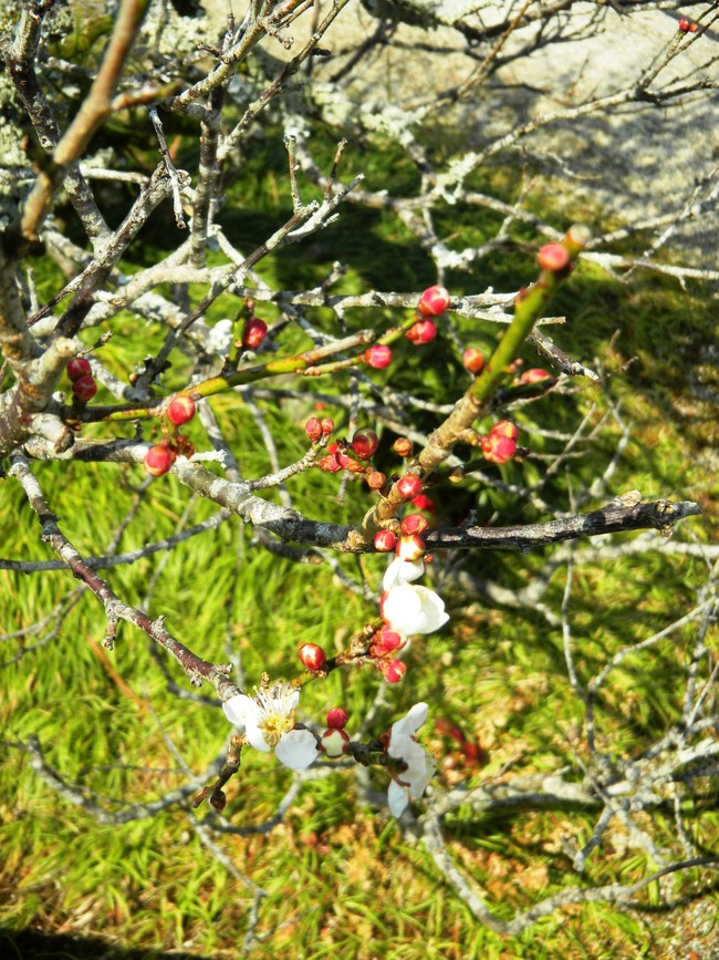 c0193187_20524328.jpg