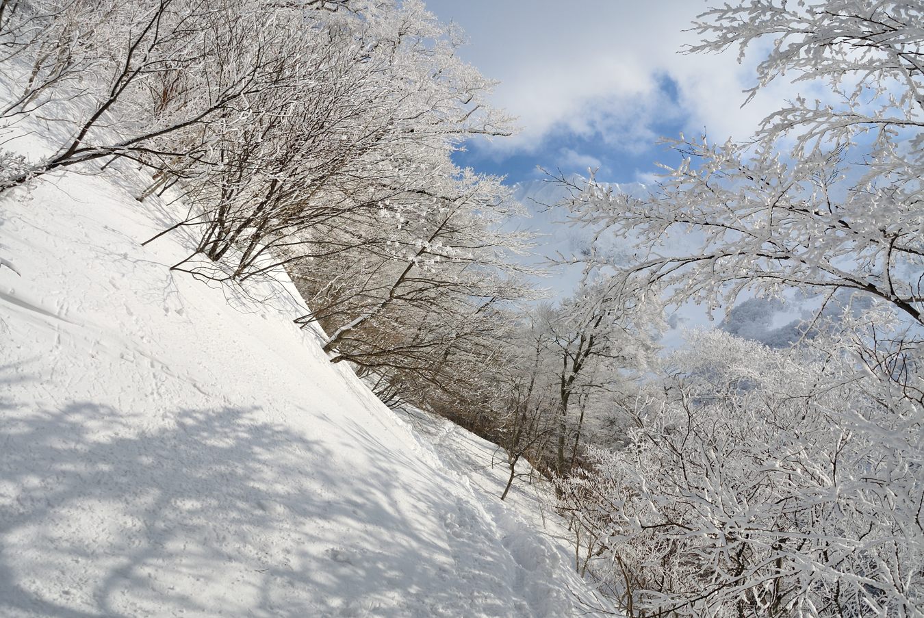 大山(弥山1709m)冬山5回目④_c0138991_21531680.jpg