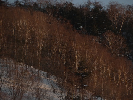 カメラ教室と夕景_e0120896_6491820.jpg