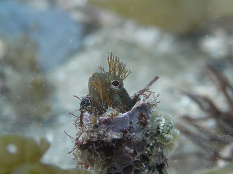 e0115199_0433016.jpg