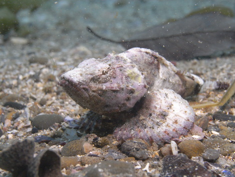 e0115199_0433687.jpg