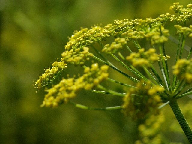 c0008502_2247229.jpg