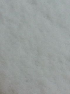 雪です。_a0064004_812318.jpg