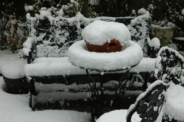 二月の終わりは雪降る日に_c0051105_14485823.jpg