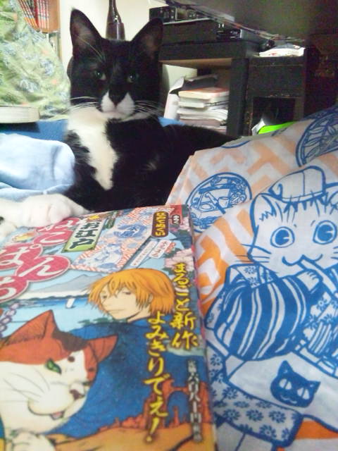 明日は お江戸 永尾まる てげてげブログ 明日は お江戸 永尾まる てげてげブログ