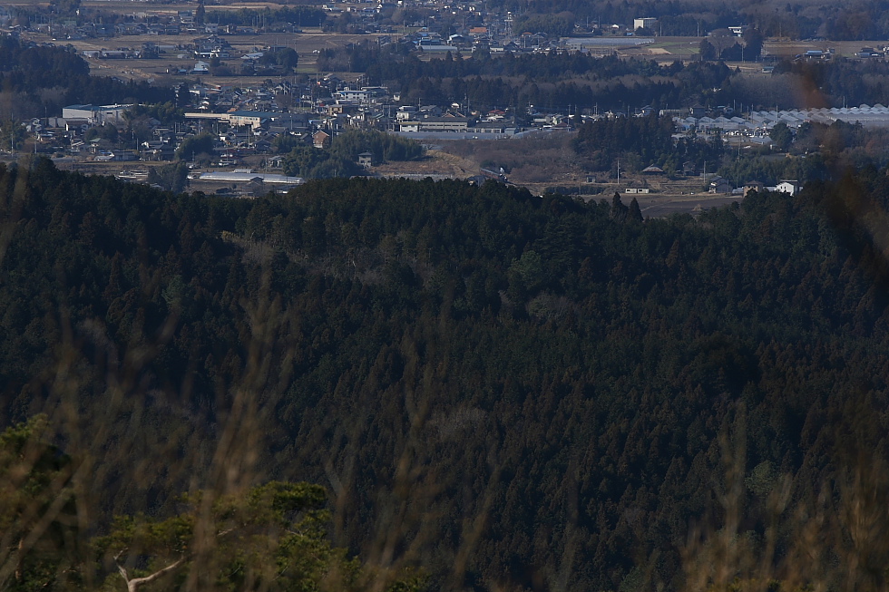 b0190710_07056.jpg