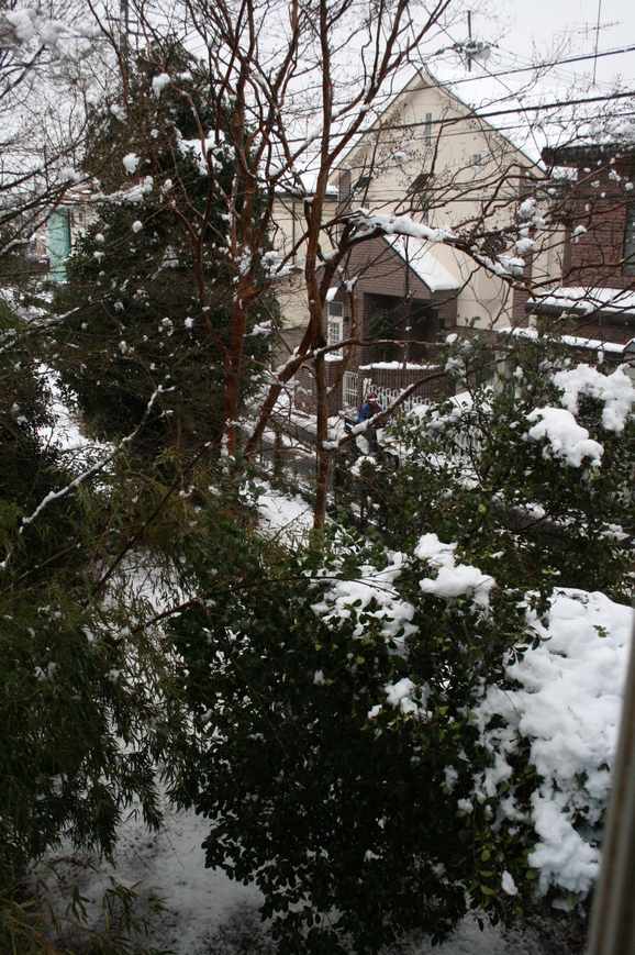 d0070113_21445547.jpg