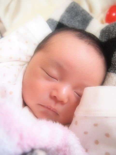 a0151615_0452129.jpg