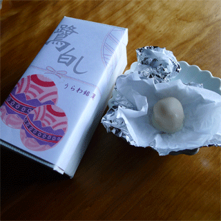 c0198717_23133790.gif