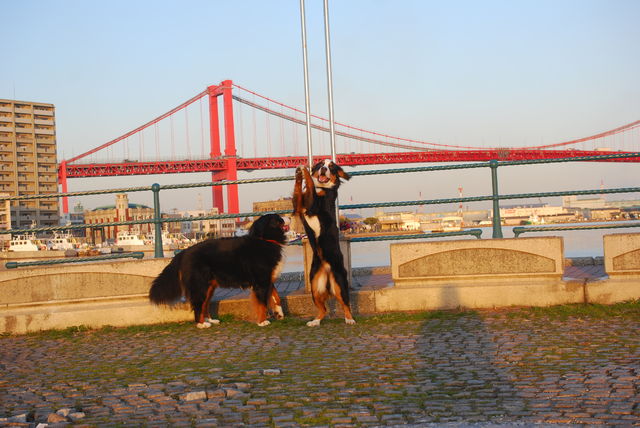 f0174419_921245.jpg