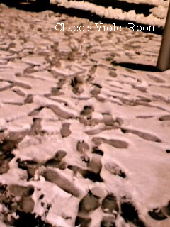 e0245625_20555930.png