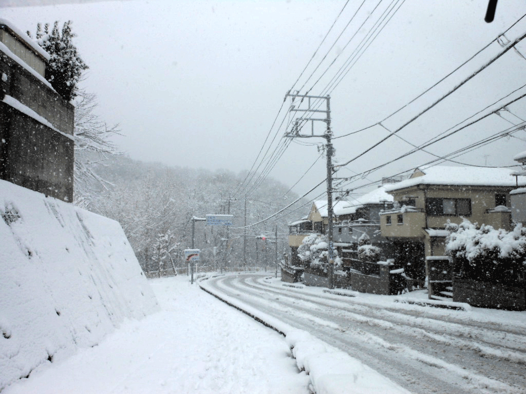 老育 きっと会える・・_c0155326_2122108.gif