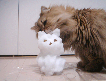 e0157129_17583862.gif