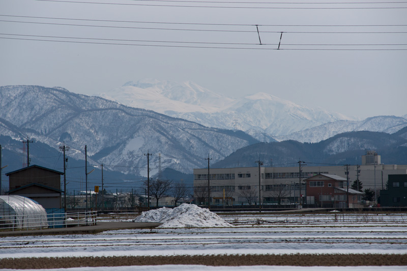 b0177233_7295246.jpg