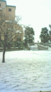 雪_c0149633_19132883.jpg
