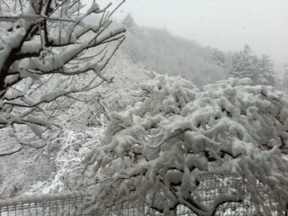 雪の日_e0197434_1653240.jpg