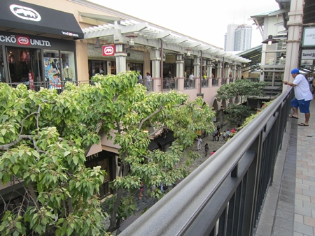 c0037435_22173166.jpg