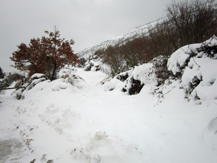 ネコと雪のテッツィオ山_f0234936_23102712.jpg