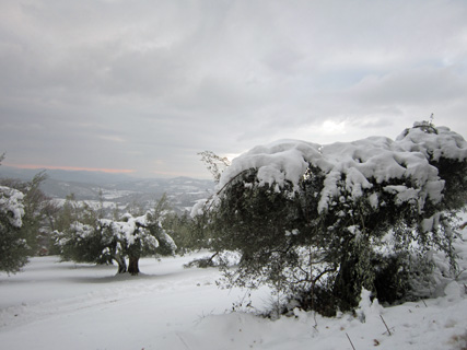 ネコと雪のテッツィオ山_f0234936_2392063.jpg