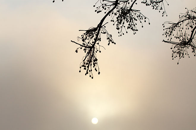 c0067040_21362479.jpg