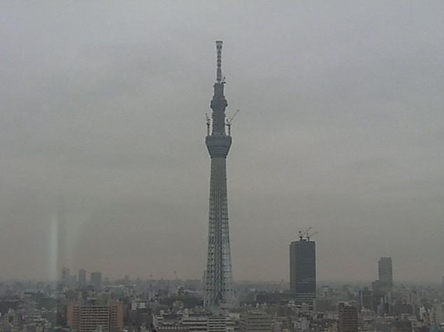 地デジ電磁波で脳・免疫系障害 : あなたの脳は誰のもの?(3)_b0221143_431863.jpg