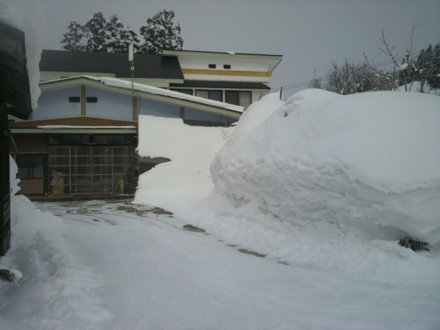 大雪_f0081443_2295689.jpg