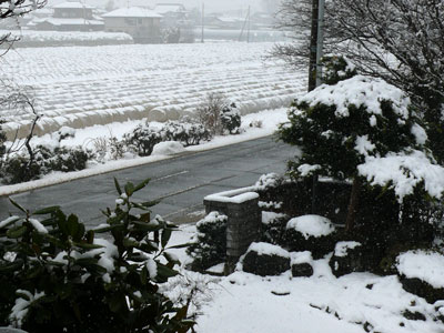 雪が降っているよ_c0210745_14205167.jpg