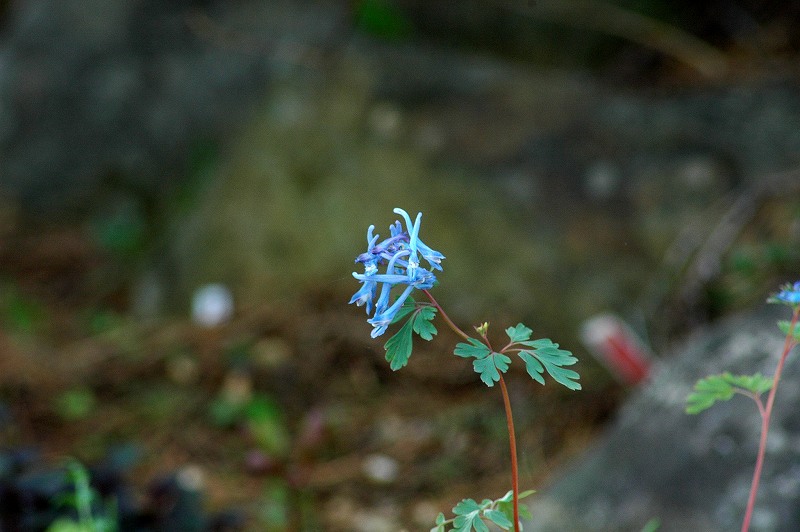 f0202445_152395.jpg