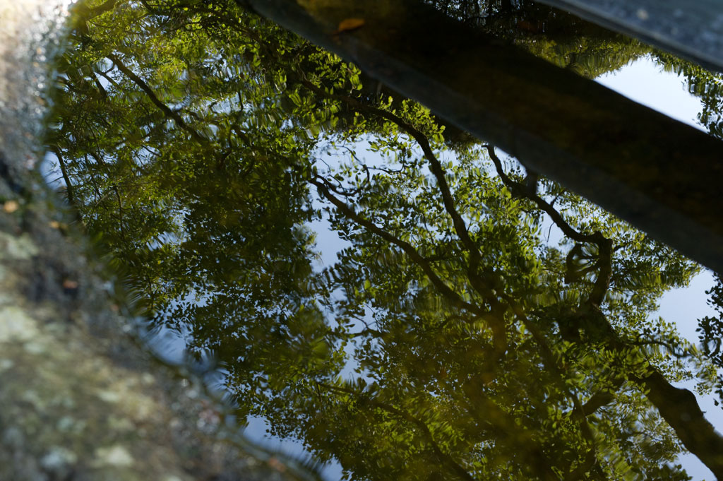 高祖神社　１　福岡県糸島市_b0023047_5454646.jpg