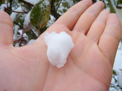 2月29日　うるう年な雪降る朝の栃木_e0037849_803967.jpg