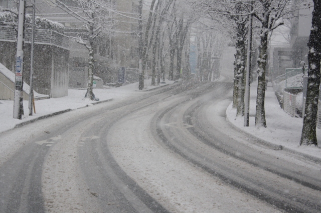 雪の朝、雑感_e0117950_17501140.jpg