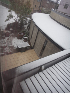 雪 予報が的中_e0109554_91058.jpg
