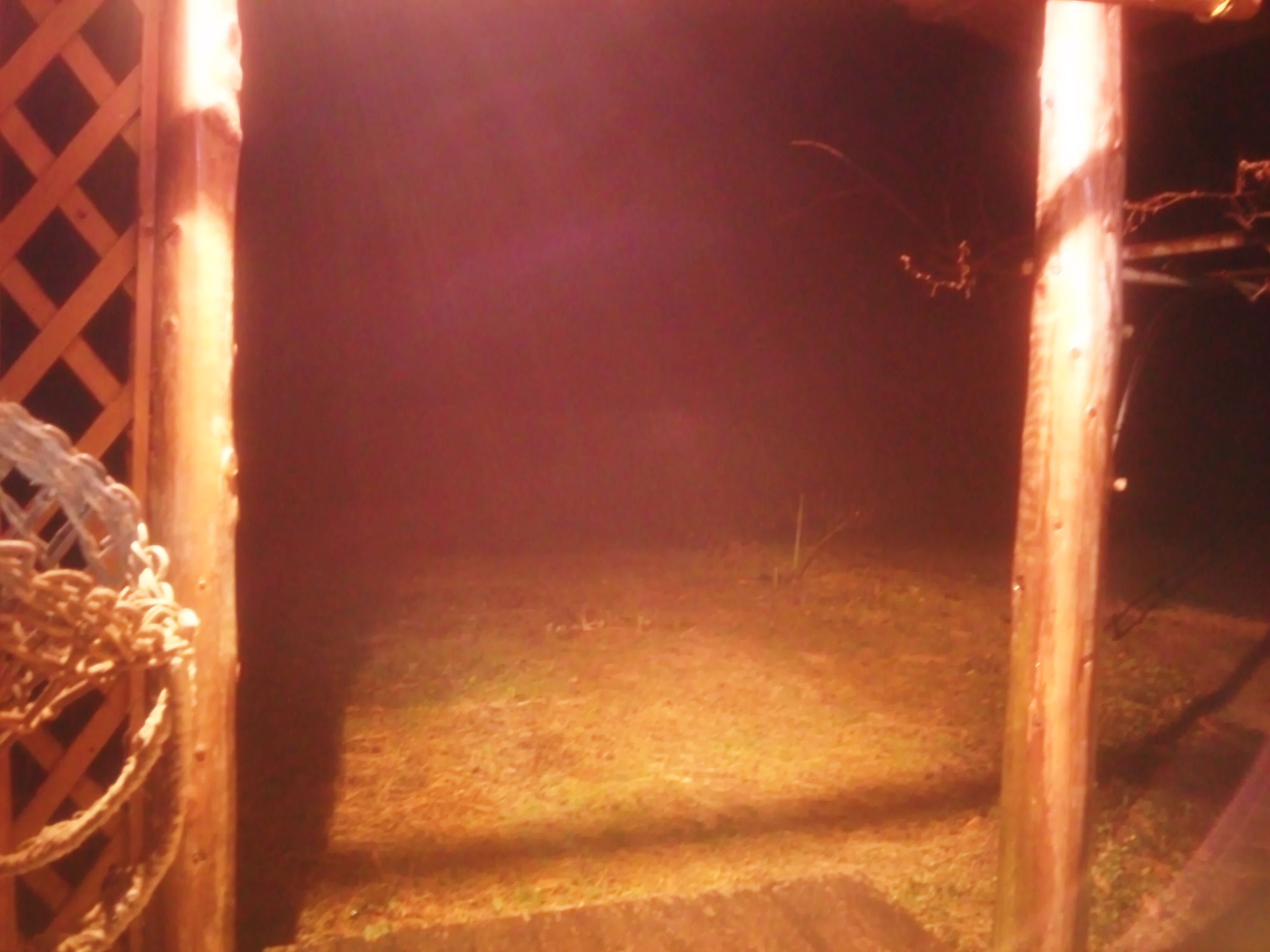 FLC日記 囲炉裏→雪→晴れ_a0254656_1124692.jpg
