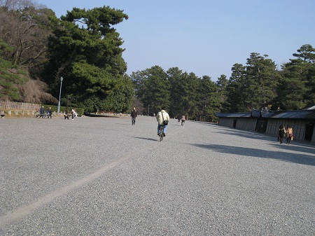 冬の京都　2　（妙満寺、相国寺、京都御苑）_d0164761_16402099.jpg