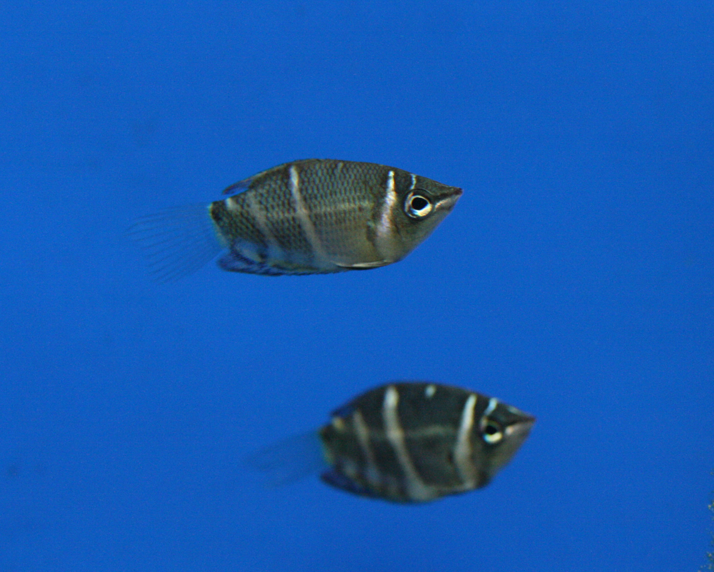 a0162263_19274425.jpg