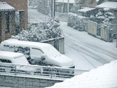 首都圏にも雪が…_b0059664_8273887.jpg