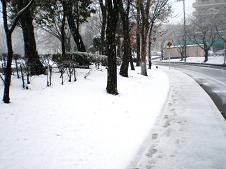 c0112264_19141488.jpg